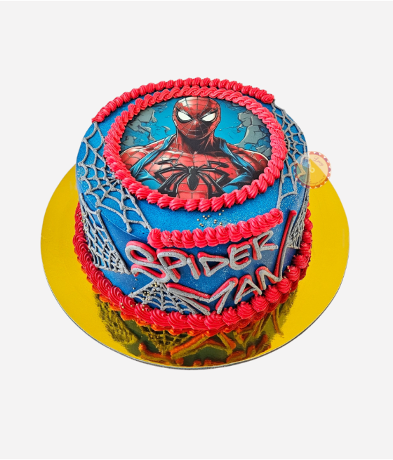 Spiderman H027